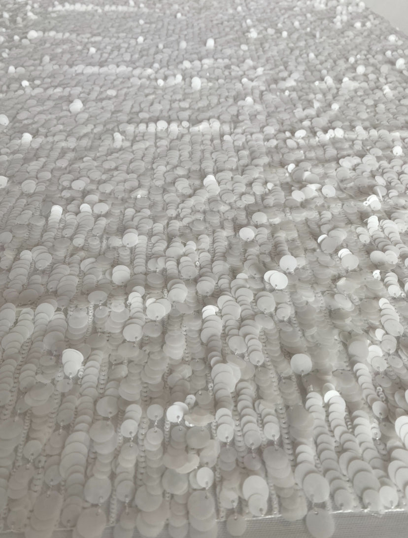Sequins Fabric