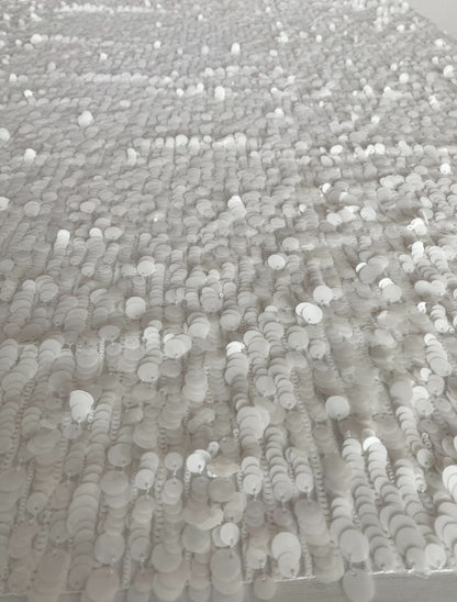 Sequins Fabric