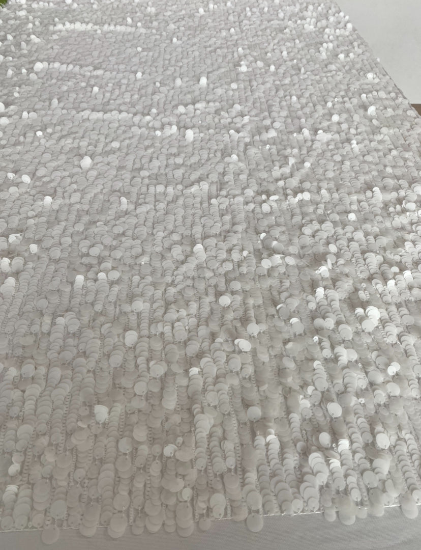Sequins Fabric