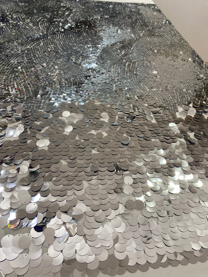 Sequins Fabric