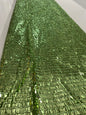 Beaded Sequins Fabric
